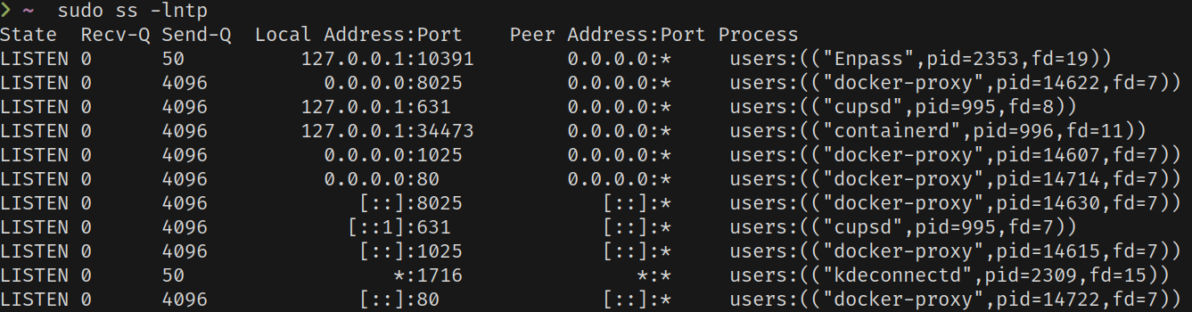 Output of ss command