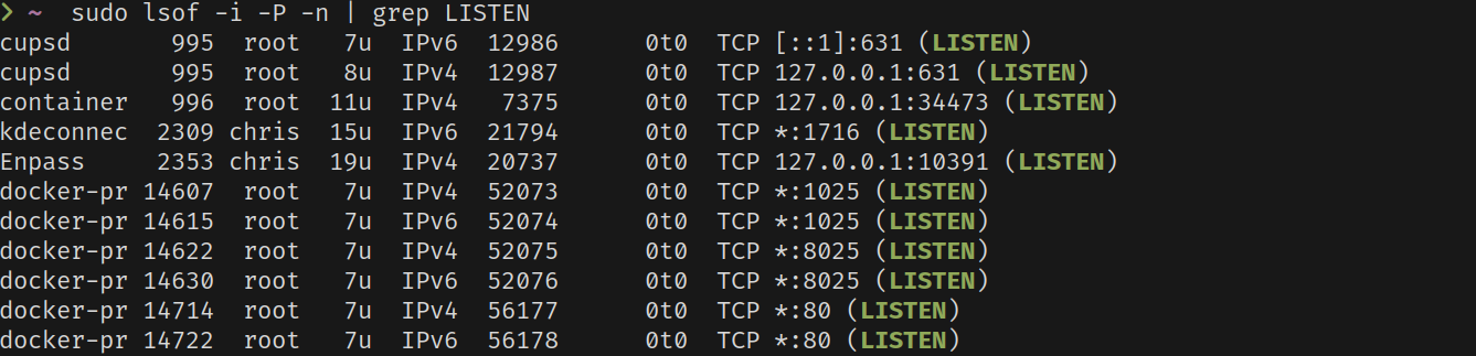 Output of lsof command